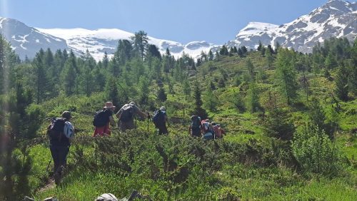 250610 Autour du Mont Cenis (5)