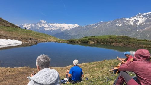 250610 Autour du Mont Cenis (7)