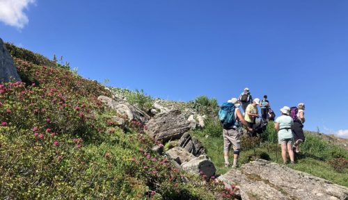 250701 St François et Cheval noir (4)