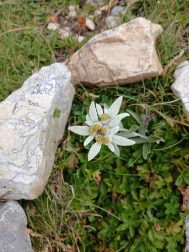 250729 Orgère-Chavières-Pralognan (13)