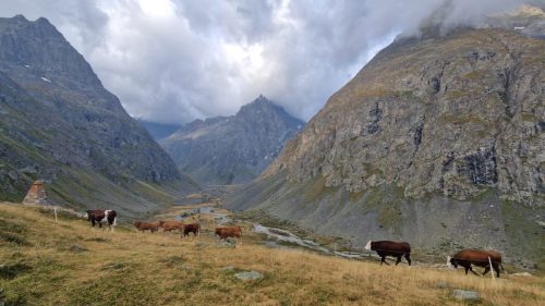 250826 Villar d'Arène G2 (20)