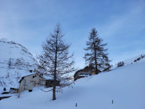 260113 Sortie raquettes, marcheurs et fondeurs à Bessans (5)
