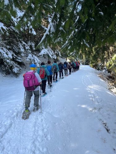 260317 Nant Repose Norma (1)