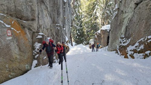 260317 Nant Repose Norma (1)