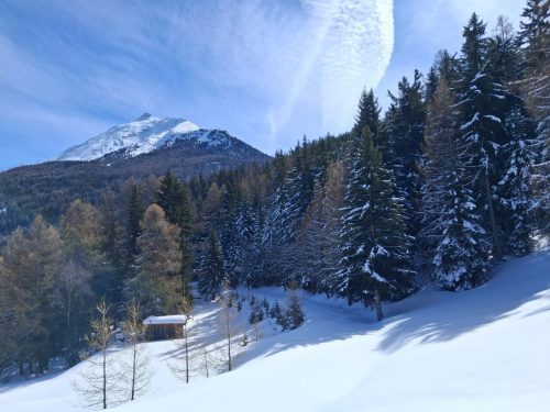 260317 Nant Repose Norma (10)