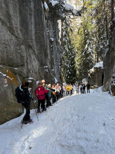 260317 Nant Repose Norma (2)