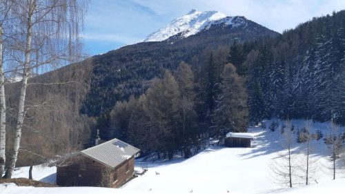 260317 Nant Repose Norma (3)