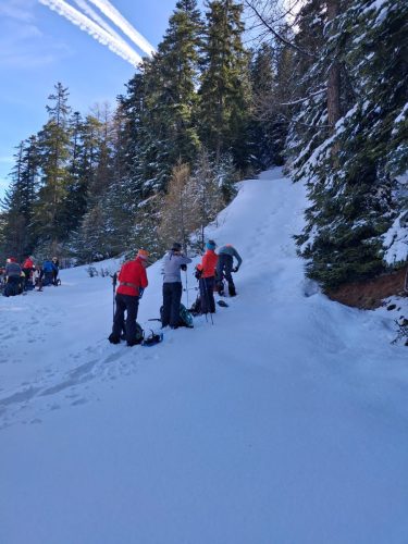 260317 Nant Repose Norma (3)