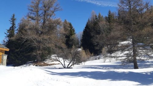 260317 Nant Repose Norma (4)