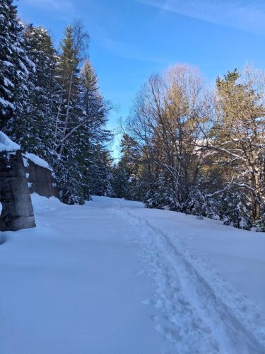 260317 Nant Repose Norma (4)