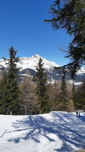 260317 Nant Repose Norma (5)