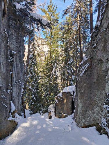 260317 Nant Repose Norma (5)