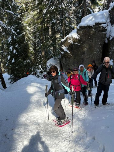 260317 Nant Repose Norma (6)