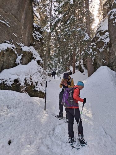 260317 Nant Repose Norma (6)