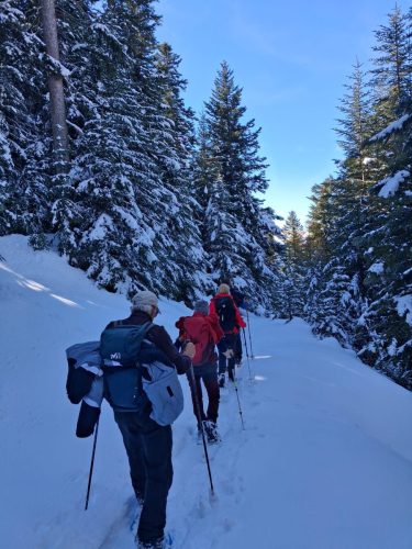 260317 Nant Repose Norma (7)