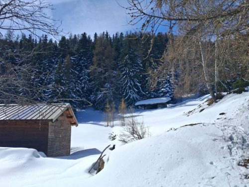 260317 Nant Repose Norma (8)