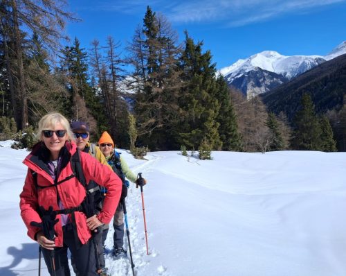 260317 Nant Repose Norma (9)