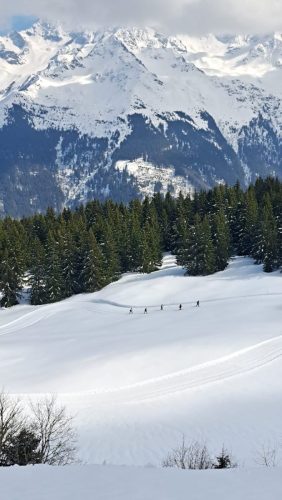 260324 Espace nordique Barioz (1)