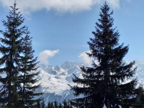 260324 Espace nordique Barioz (14)