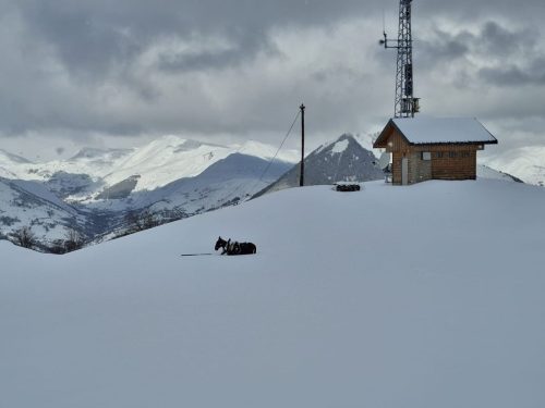 260331 Rieu-Chalmieu (7)