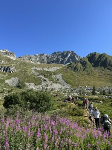 260728_Sarvatan Montjoie (16)