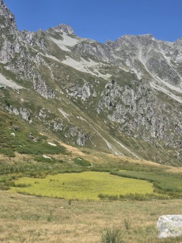 260728_Sarvatan Montjoie (2)