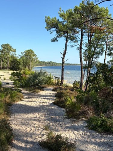 Lac de Cazaux .Petite plage sauvage(Groupe GG)