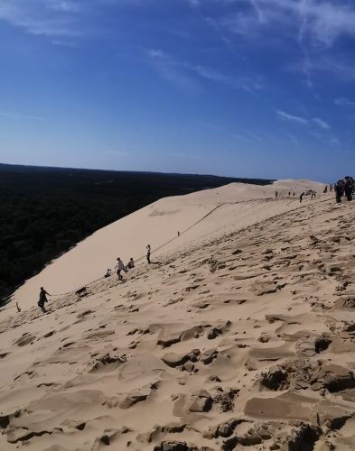 Sur la Dune