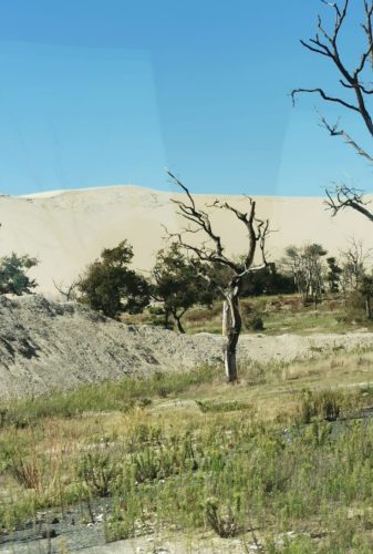 La dune du Pilat