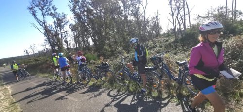 vélo, vélo...