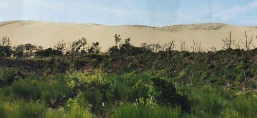 la dune du Pilat