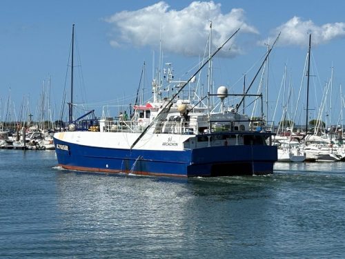 Dans le port d'Arcachon
