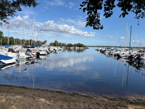 Le port d'Arcachon