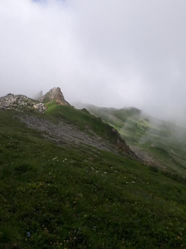 Roche Cornue (1)