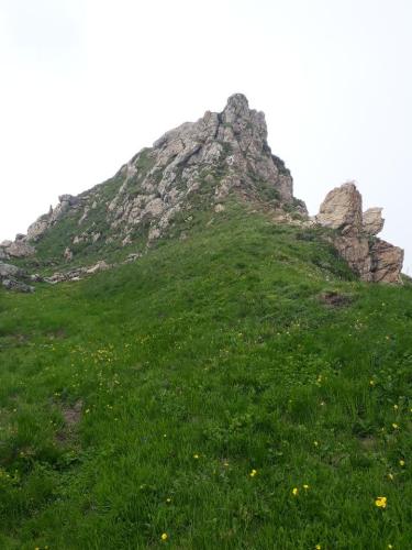 Roche Cornue (2)