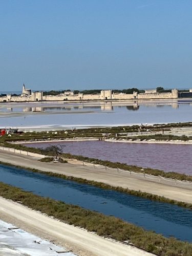 Séjour vélo - La Grande Motte (9)