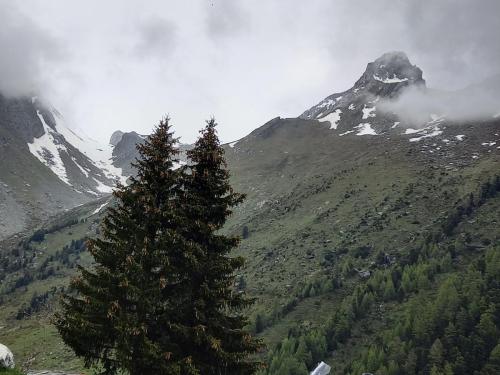 Sortie Polset-Orgère 03-06-2024 (11)