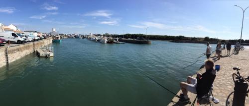 Panoramique port de pêche de saint Gilles