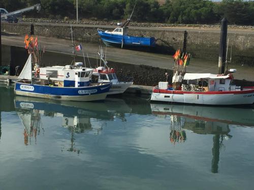 Saint Gilles - Bateaux de pêche à la sardine