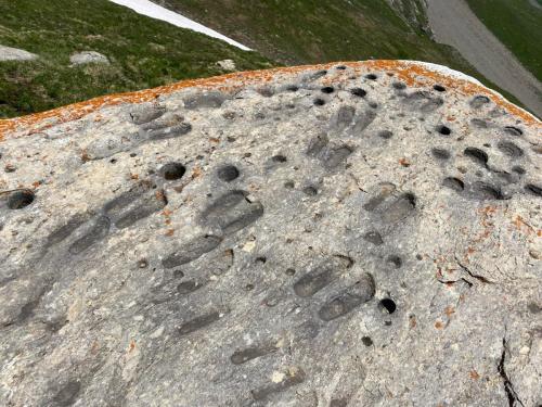 Vallonbrun - Pierre aux pieds (13)