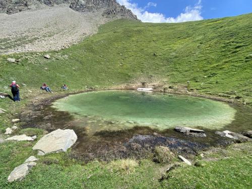 Vallonbrun - Pierre aux pieds (13)