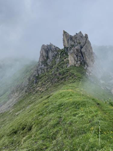 Vallonbrun - Pierre aux pieds (4)